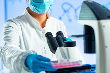 Cell Lines 683