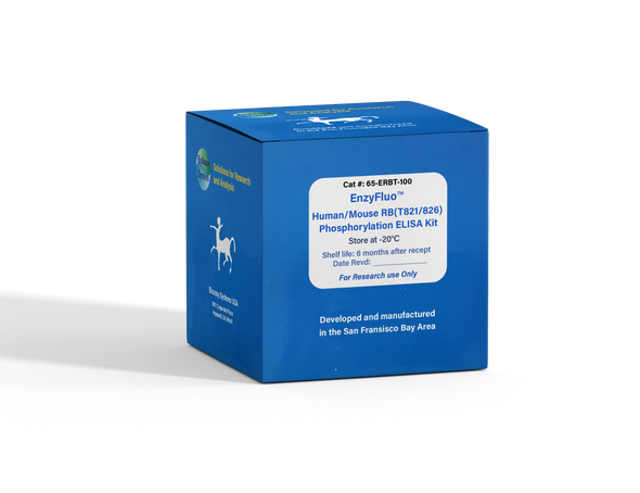 EnzyFluo™ Human/Mouse RB(T821/826) Phosphorylation ELISA Kit | ERBT-100