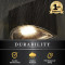 Low profile solar lights for marine docking are made from durable stainless steel, with an IP65 waterproof rating.