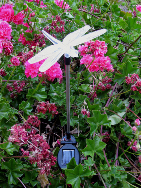 Color changing solar lights have a lucky Dragonfly on top that changes through variations of red, blue and green colors at night.