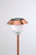 Copper solar lights will add beauty to your home and landscaping.