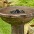 Solar powered fountain also includes a 360 degree umbrella spray head for a refined waterfall sound.