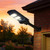 Solar street light with solar motion sensor can be installed as a  wall mount solar motion sensor to light up your business entrance at night.