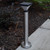 Solar Bollard pathway light will adorn your driveway and walkway with soft lighting.