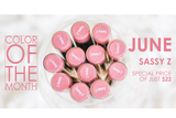 COLOR OF THE MONTH! SASSY Z LIPSENSE FOR JUST $22!