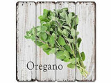 HERB Highlight - Oregano!