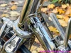 NOS 1983 Colnago Master Arabesque: 58cm - Campagnolo Super Record 50th - Internal Routing - Top Mount Shift - Chrome - Top Spec Build! Low Frame Number