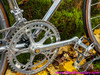 NOS 1983 Colnago Master Arabesque: 58cm - Campagnolo Super Record 50th - Internal Routing - Top Mount Shift - Chrome - Top Spec Build! Low Frame Number