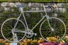 NOS 1983 Colnago Master Arabesque: 58cm - Campagnolo Super Record 50th - Internal Routing - Top Mount Shift - Chrome - Top Spec Build! Low Frame Number