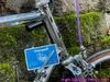NOS 1983 Colnago Master Arabesque: 58cm - Campagnolo Super Record 50th - Internal Routing - Top Mount Shift - Chrome - Top Spec Build! Low Frame Number