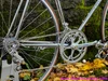 NOS 1983 Colnago Master Arabesque: 58cm - Campagnolo Super Record 50th - Internal Routing - Top Mount Shift - Chrome - Top Spec Build! Low Frame Number