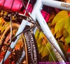 WTT: 55cm Rawland Nordavinden DISC 650b (Klamper/SON/Ultegra) For Your 56/57cm Gravel/AllRoad