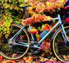 WTT: 55cm Rawland Nordavinden DISC 650b (Klamper/SON/Ultegra) For Your 56/57cm Gravel/AllRoad