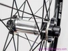 Bobby Root's M1 Sporttechnik Sterzing! Signed by Travis Pastrana & Ryan WIlliams (DISPLAY ONLY)