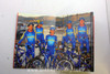 2004 Luna Women's Mountain Bike Racing Team Brochure: Alison Dunlap, Marla Streb