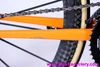 Richard Sachs CX Cyclocross Bike: 52cm - Record 11s - Cosmic Ultimate - Quarq - ZIPP - Orange - PegoRichie Lugged Steel - 17LBS!