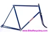 1960 Urago French Road Frame/Fork: 62cm x 59cm - Reynolds 531 Nervex Lugged Steel - Metallic Blue + Gold Pinstriping - Centerpull - 700c x Wide Tires