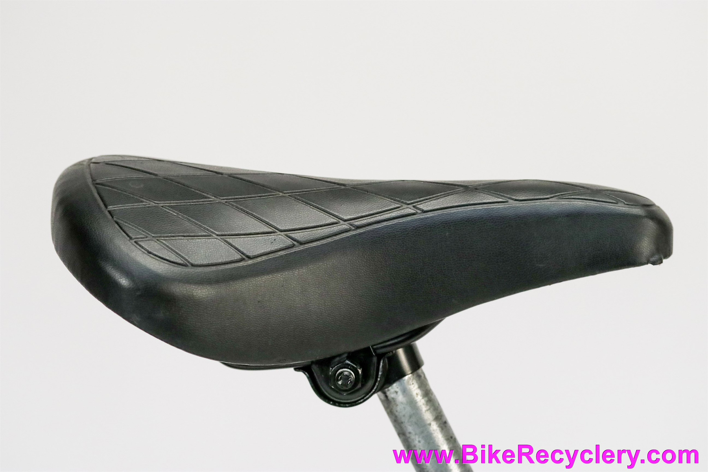 Wild Silver: V11 Scura-Powered Café Racer – BikeBound