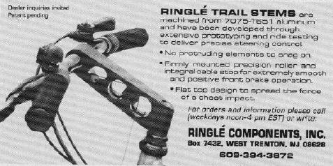 1990 ringle ad