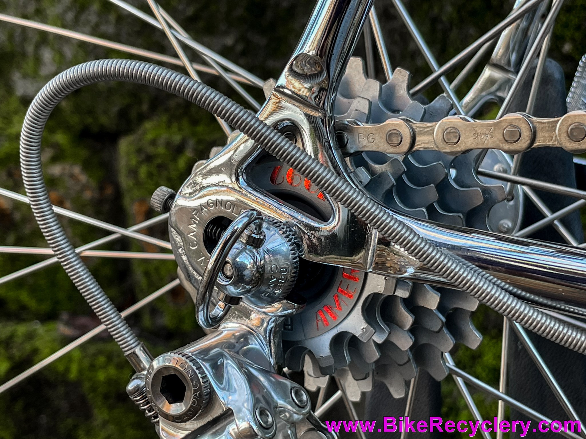 NOS 1983 Colnago Master Arabesque: 58cm - Campagnolo Super Record 50th - Internal Routing - Top Mount Shift - Chrome - Top Spec Build! Low Frame Number