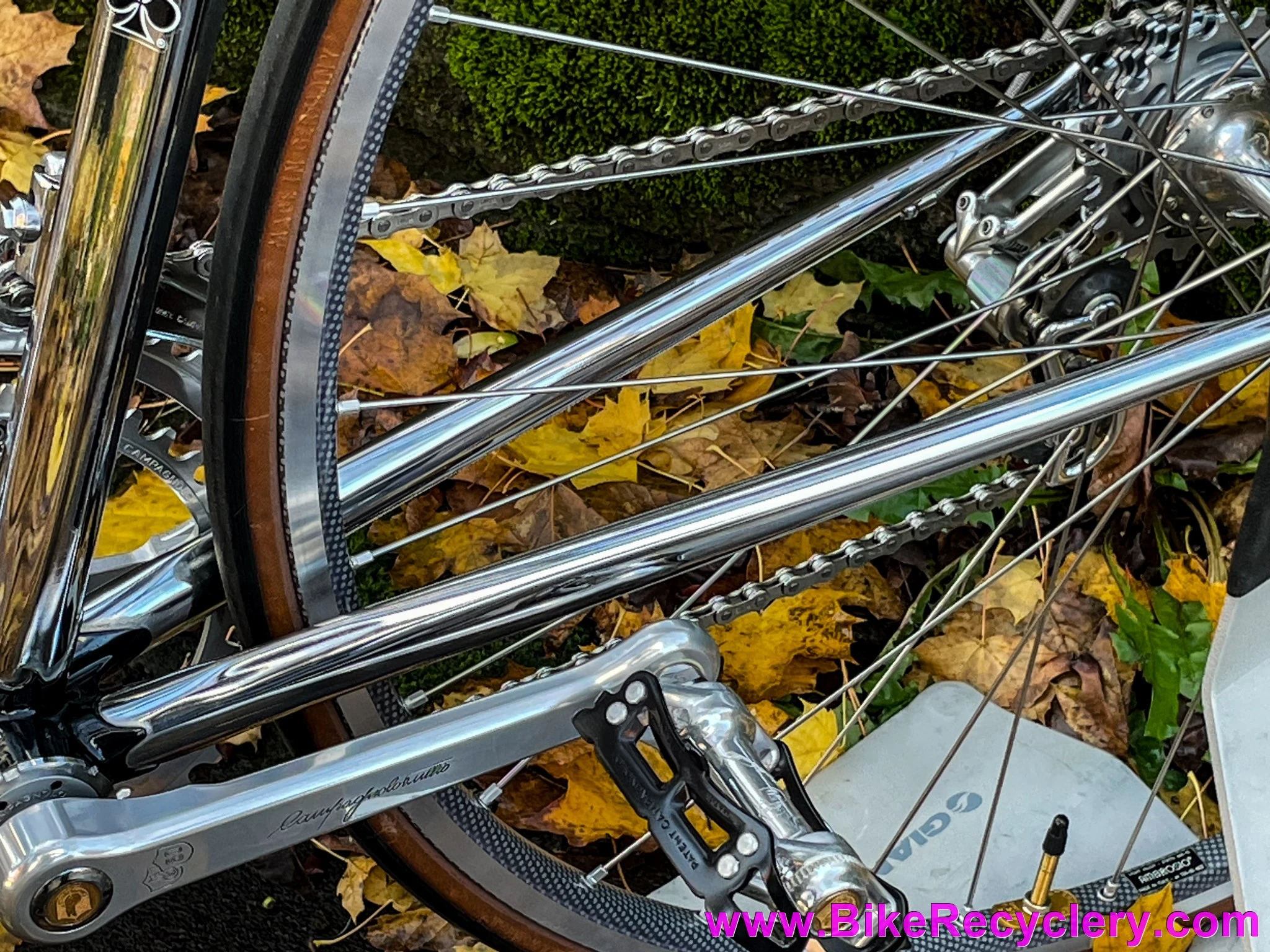 NOS 1983 Colnago Master Arabesque: 58cm - Campagnolo Super Record 50th - Internal Routing - Top Mount Shift - Chrome - Top Spec Build! Low Frame Number