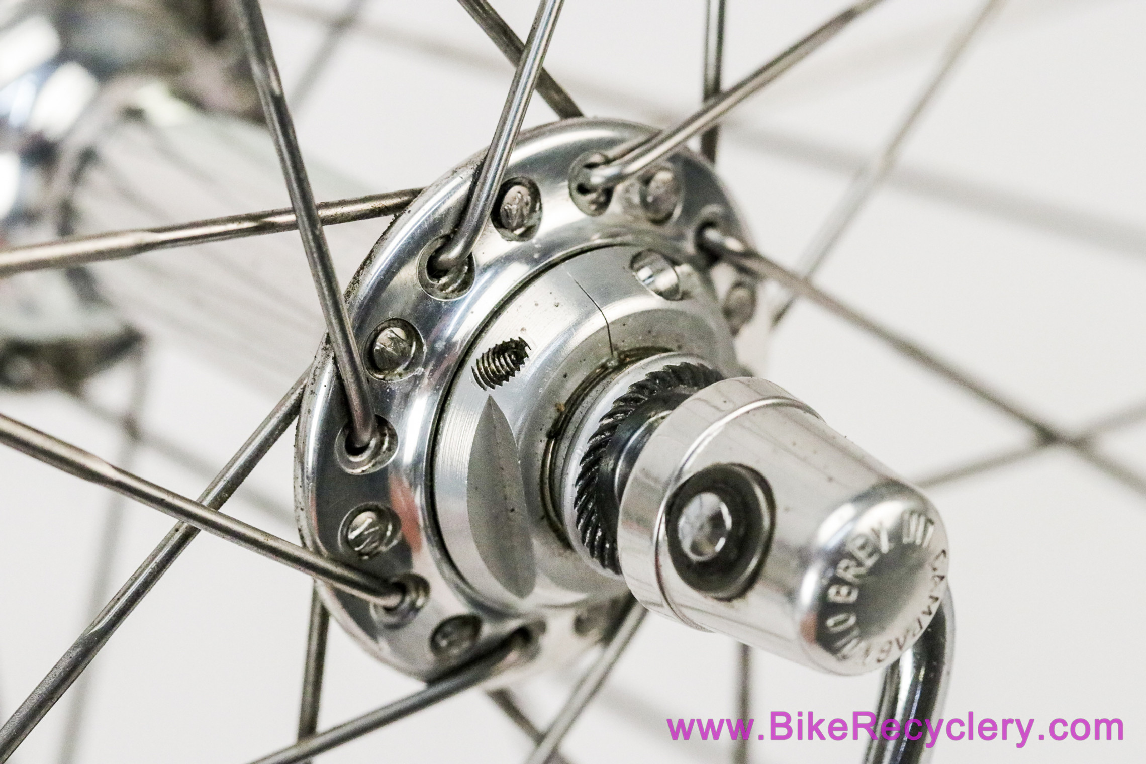 BLUE Ano Mavic Open Pro x Campagnolo Record/Chorus Wheelset
