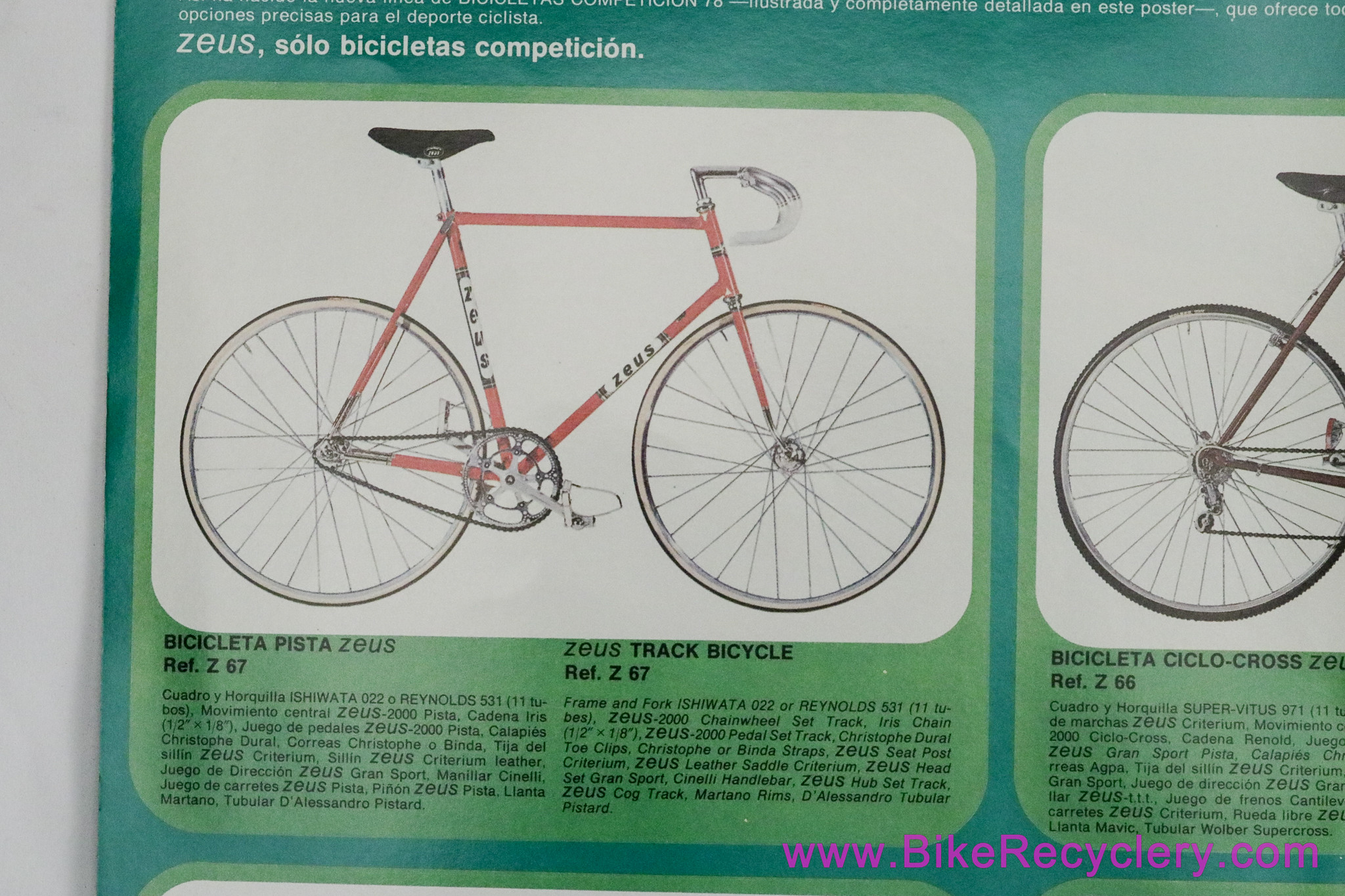 Premium Zeus Ref. Z 79 Poster / Bikes Catalog: 24x17" - Rare (Near Mint+)