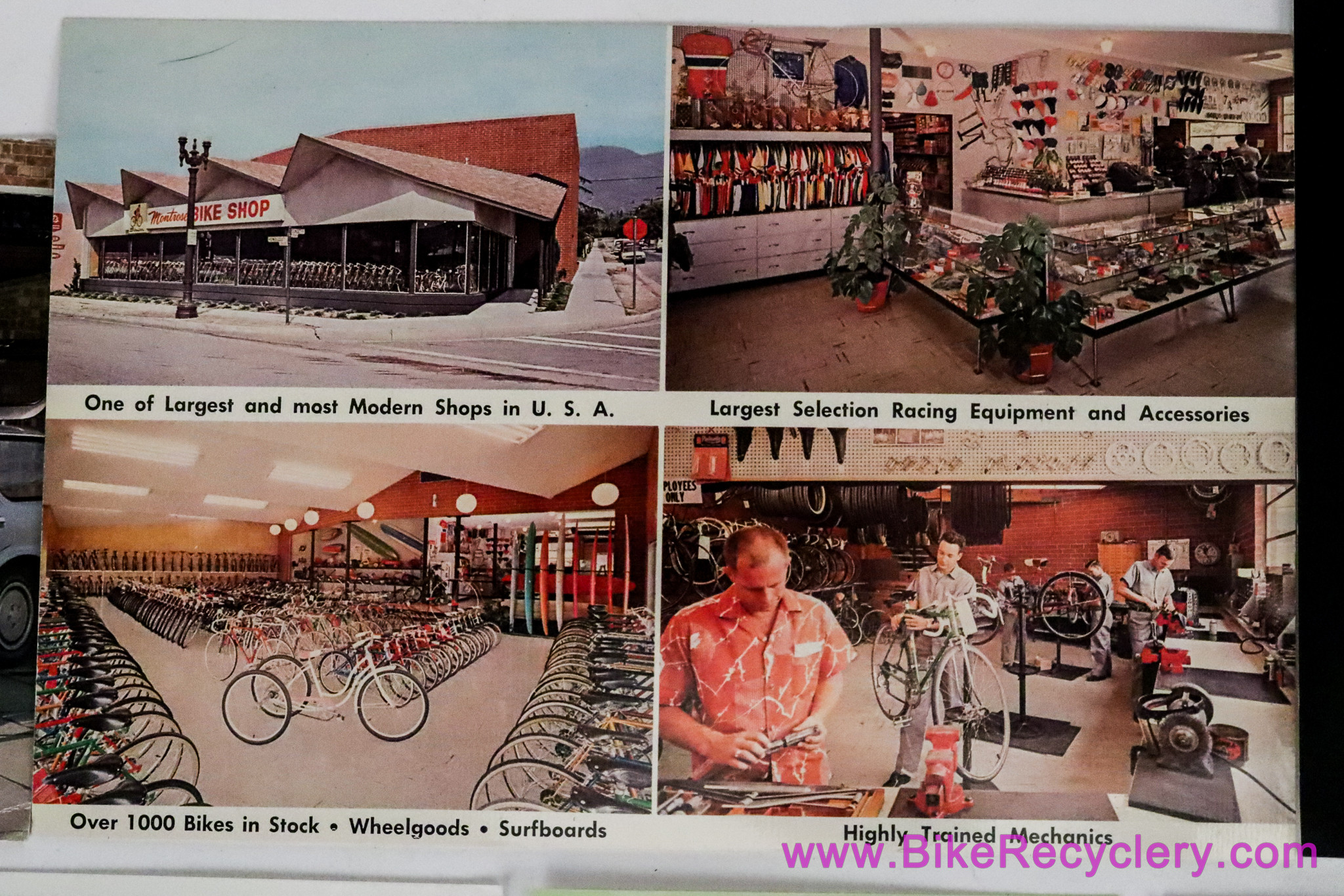 Vintage Bicycle & Car Postcard LOT: Path Racer - Stayer - Falcon - Hercules - Triumph - Frank Bartell - Kingston Classic - Montrose Bike Shop - Mini Countryman - Midget...