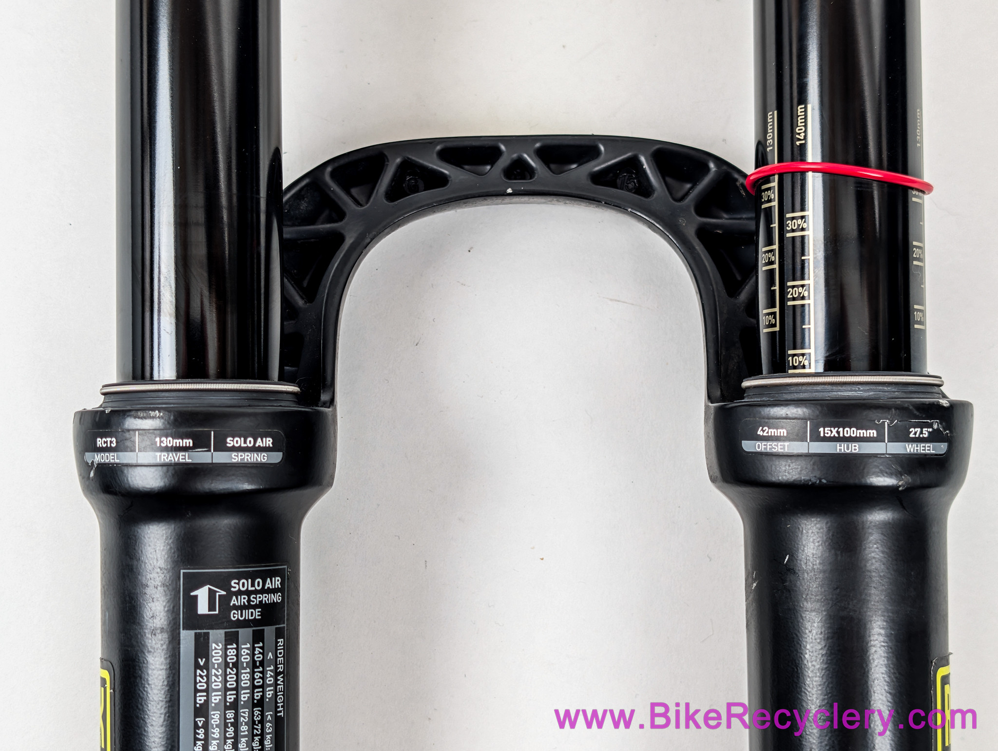 Custom RockShox Argyle RCT / Pike DJ 26