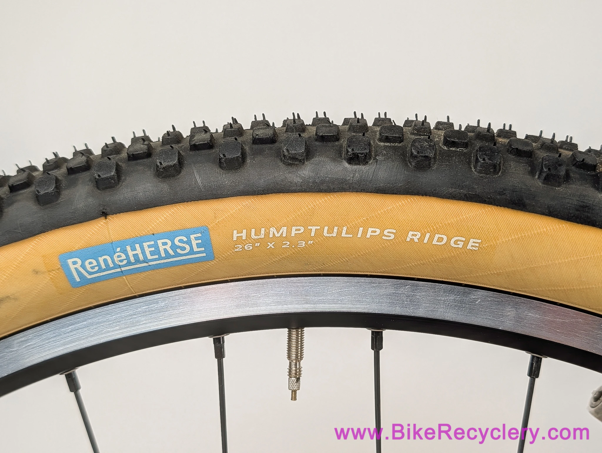 19" Ritchey NiTi Hardtail: X0-1 Orange! XTR - Paul - Fox RLC - (Barely Ridden Show Bike!)