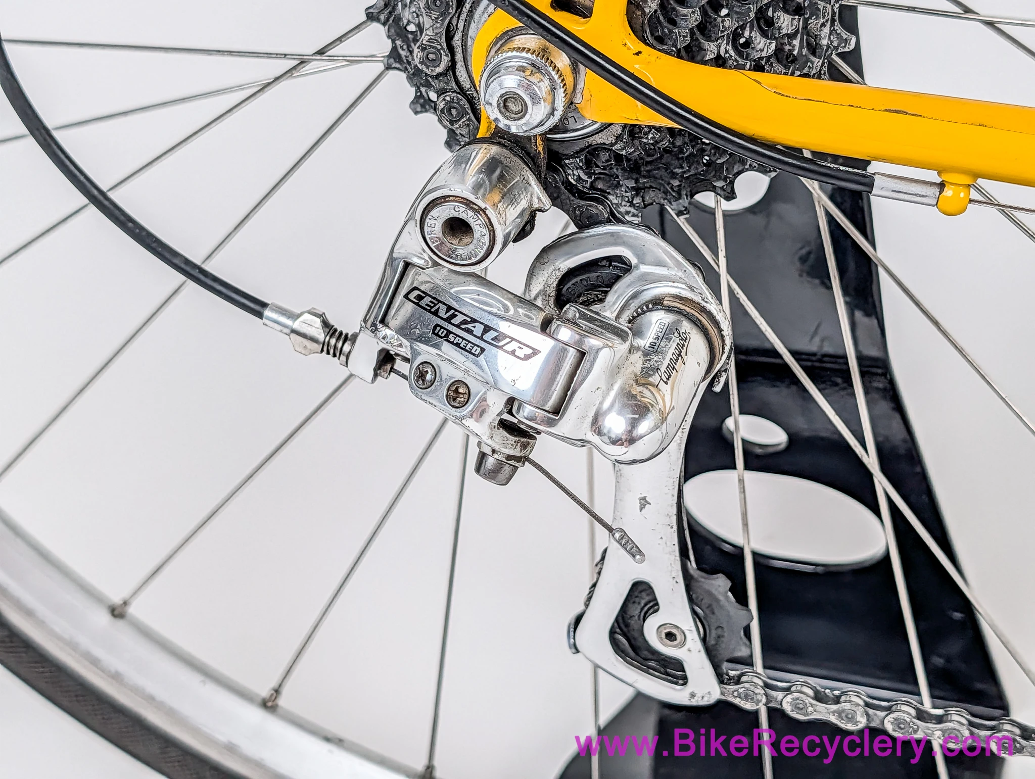 Chris Kvale Randonneur: 58cm x 56cm - Richard Sachs Newvex Lugs - Ultralight Tubing - Campy 10s