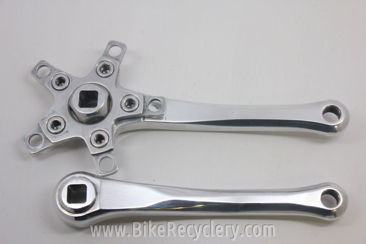 curly crown collective 非売品 いかりや長介（ベース） curly crown collective 非売品 いかりや長介（ベース） 2025年