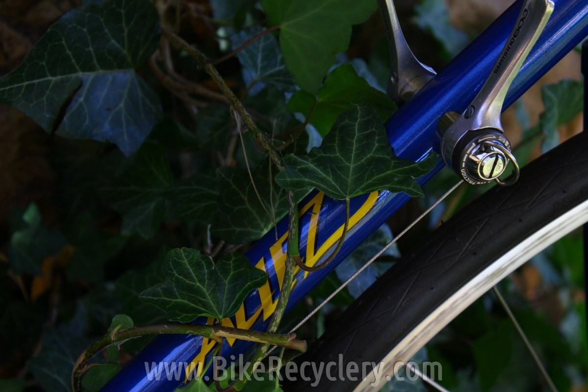 1986 Specialized Allez SE Jim Merz Road Bike: Sm/med 52cm Shimano 600 6200, MINT