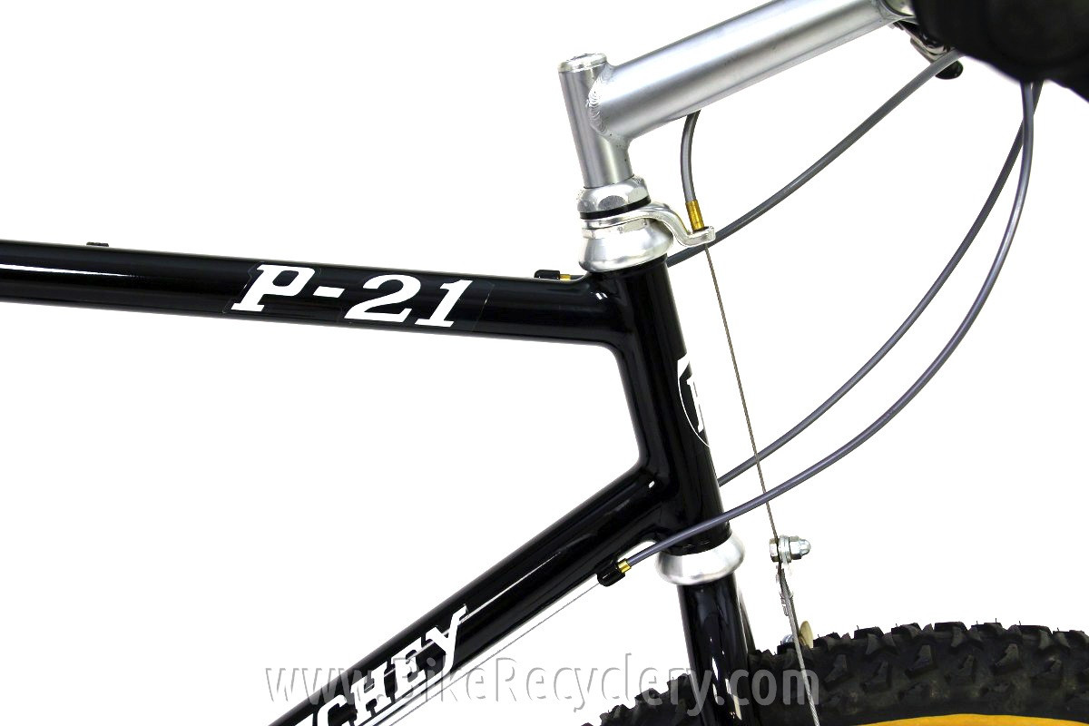 Ritchey P21 TEAM W.C.S.: FULLY Fillet Brazed, Catalog Spec w/ XTR M900, 21", PRISTINE