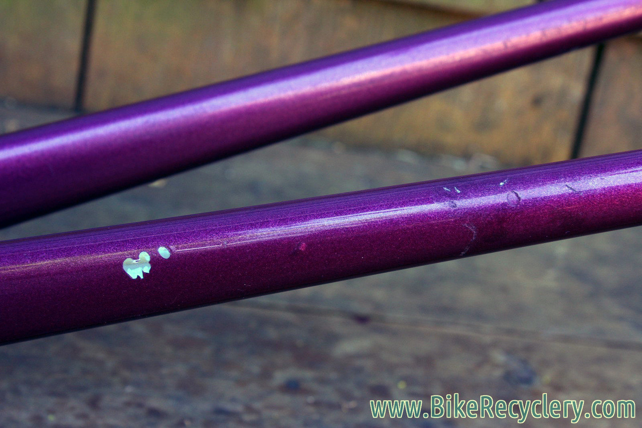 Chainstay chips