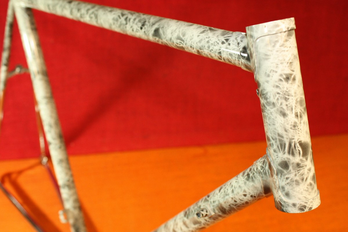 NOS TITAN Road Bike Frame: Wild Custom Paint by Dossena Carlo, Swiss, Columbus SL Lugged Steel