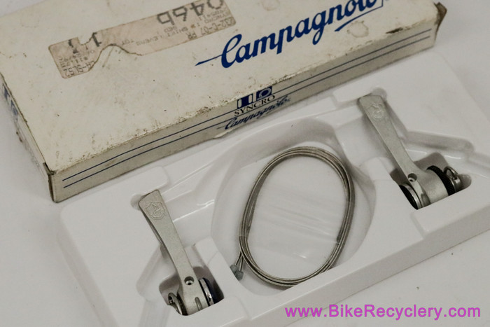 NIB/NOS Campagnolo Athena Syncro II Downtube Shifters: 7 Speed