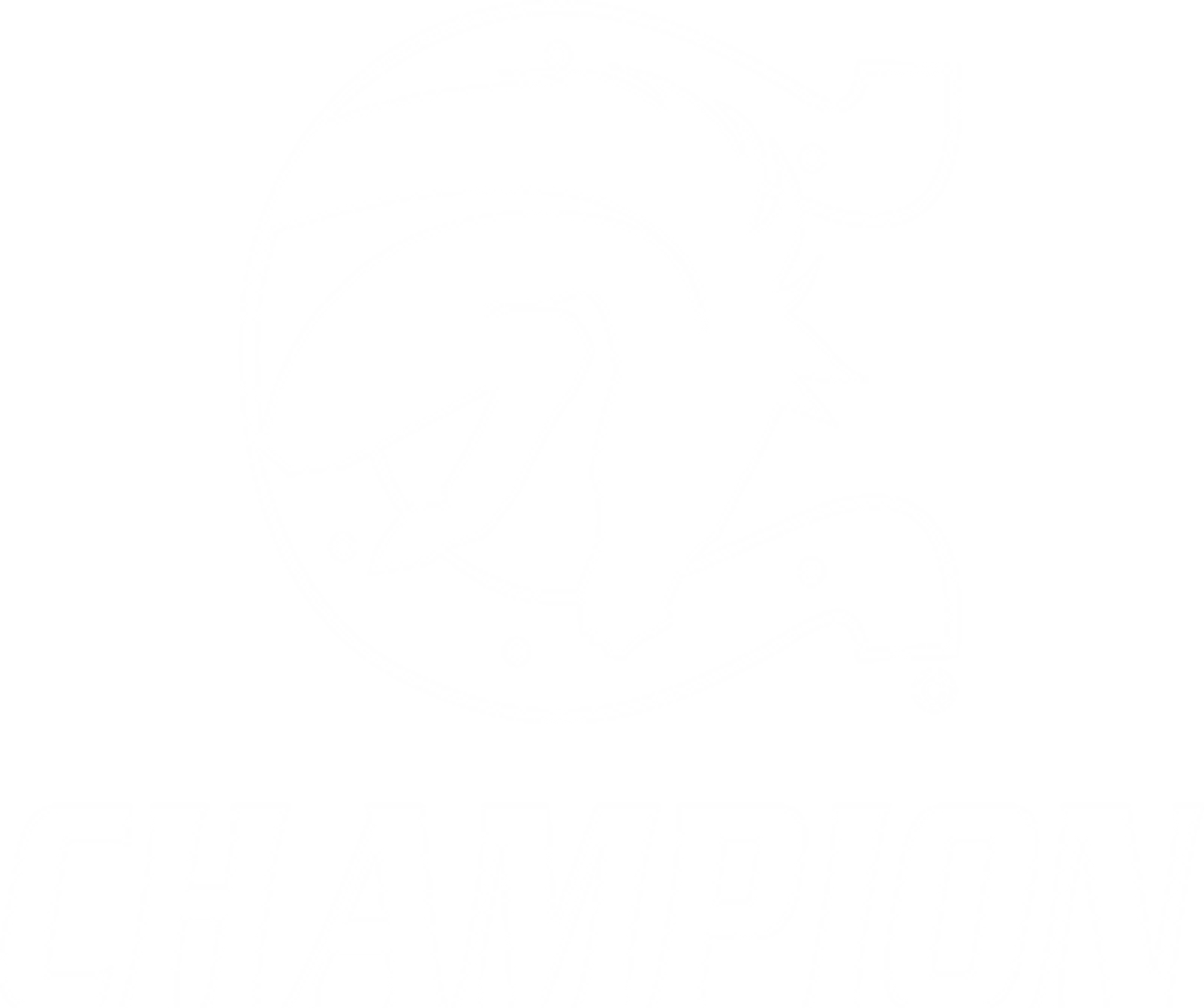 Champion_Chargers