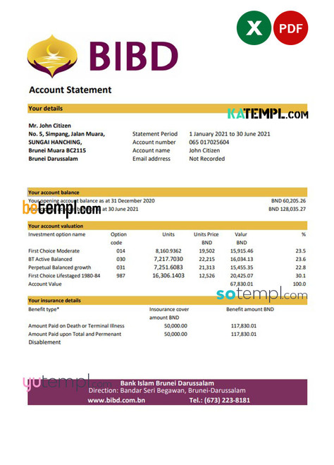 Brunei Bank Islam Brunei Darussalam bank statement easy to fill template in Excel and PDF format (AutoSum)