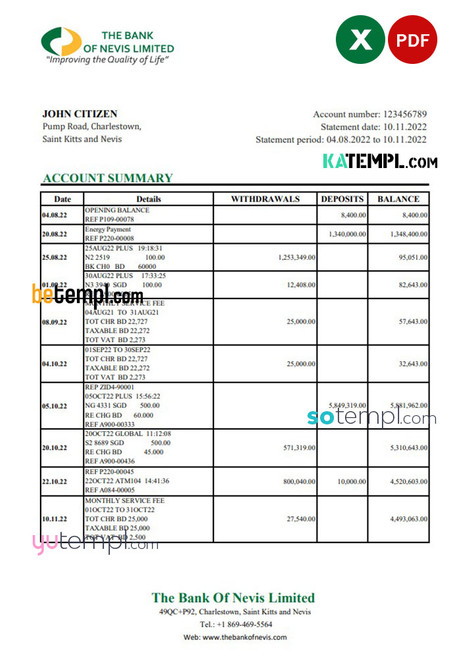 Saint Kitts and Nevis The Bank of Nevis bank statement, Excel and PDF template