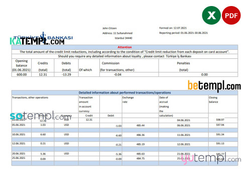 Turkey Bankasi Bank statement easy to fill template in .xls and .pdf format