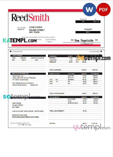 USA Reed Smith LLP law company pay stub Word and PDF template