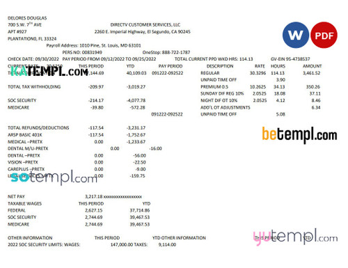 Delores Douglas pay stub Word and PDF template