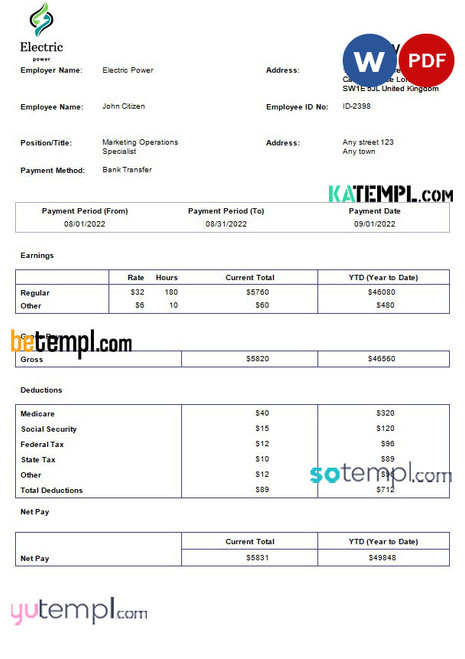 Electric power pay stub template in Word and PDF formats