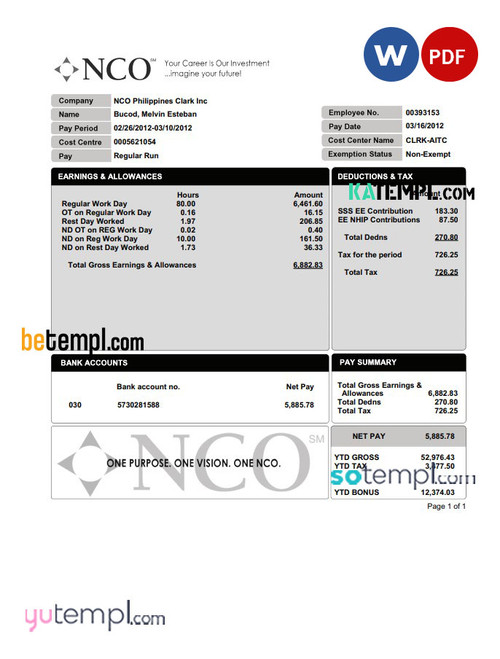 NCO paystub Word and PDF template