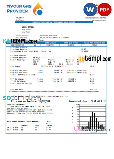 # digital gas multipurpose universal utility bill template in Word format
