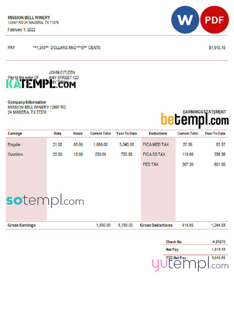 # fine touch pay stub template in Word and PDF format