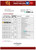Bhutan Druk PNB bank statement template in Word and PDF format