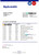 Denmark Nykredit bank statement template in Word and PDF format