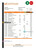 Georgia Bank of Georgia statement Excel and PDF template